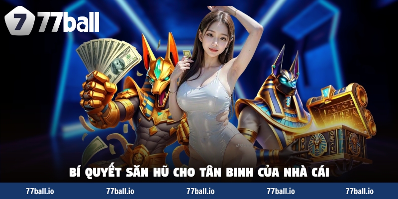 Bí quyết săn hũ cho tân binh của nhà cái