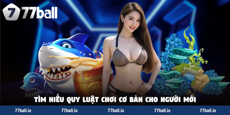 Tìm hiểu quy luật chơi cơ bản cho người mới